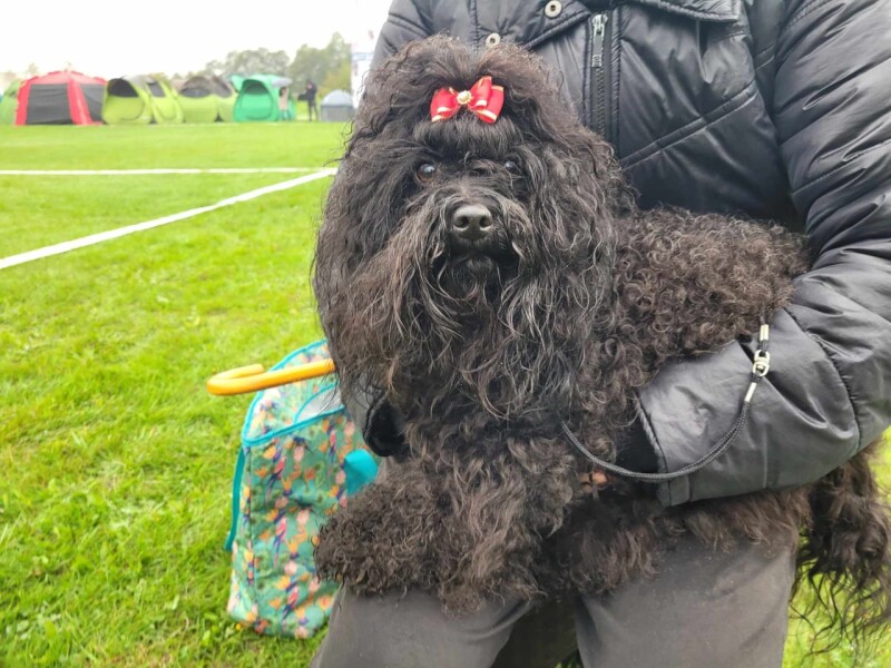 NVP Glivice  05.10.2024